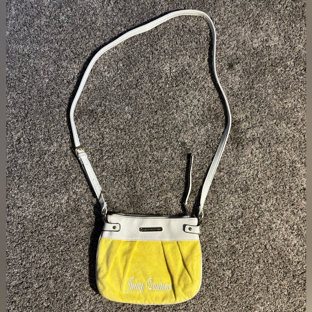 Juicy Couture Purse/Handbag